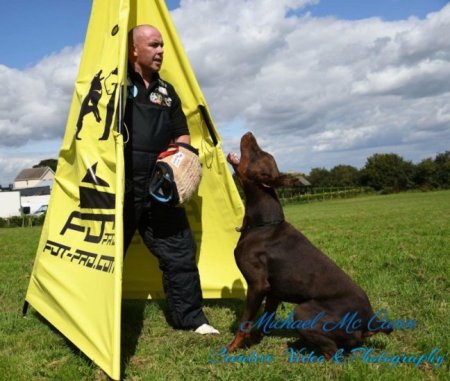 IGP Blind for Dog Training and Professional Sports