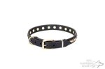 Leather Dog Collar Brass Fittings "Wealth Effulgence" by Artisan_1