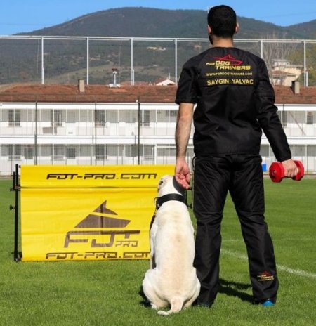 Dog Hurdle Jump with Rotating Crossbar for IGP Training