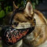 Husky Dog Muzzle of Leather with Exclusive Flame Hand Painting