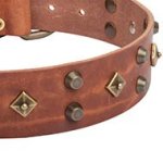 High Fashion Dog Collar with Old Bronze Stars and Brass Pyramids