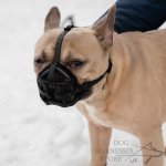 Leather Dog Muzzle for Every Breed, Best for Everyday Use_9