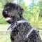 Leather Dog Harness "American Pride" for Black Russian Terrier