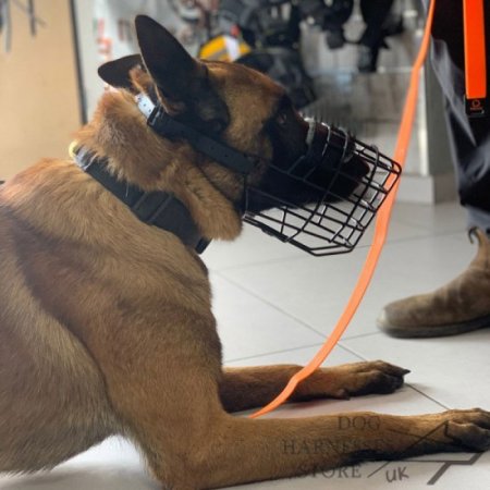 Muzzle for Belgian Malinois, Rubberized Wire for Winter Walks