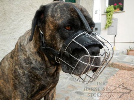 Cane Corso Muzzle Wire Perfectly Ventilated for Everyday Use