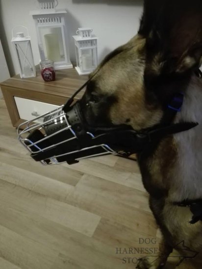 Dog Muzzle for Belgian Malinois Training and Work