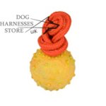 Dog Rubber Ball Hallow with Rope