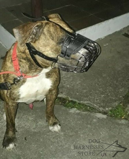 Wire Dog Muzzle UK Universal for Every Breed Walking, Training