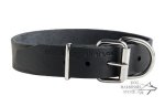 Labrador Leather Dog Collar with Name Plate for Identification_2