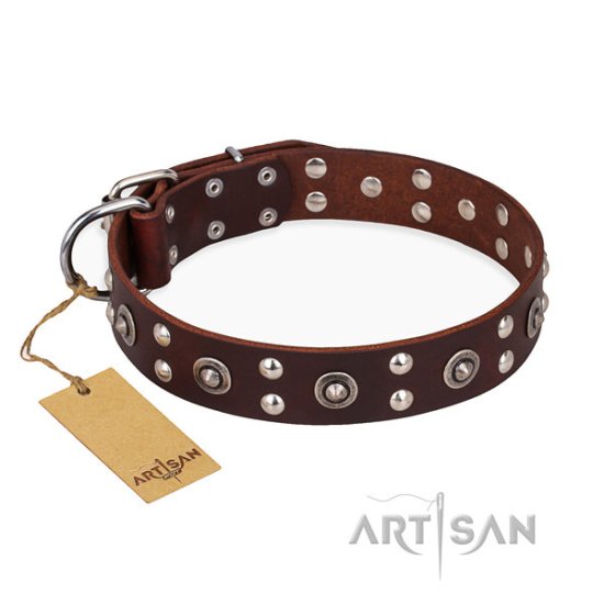 Brown Leather Dog Collar Studded, "Pirate Treasure" FDT Artisan