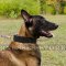 Bestseller! Extra Wide Leather Dog Collar for Malinois Shepherd