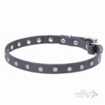 Leather Dog Collar of Thin Width for Walking, Studded with Stars