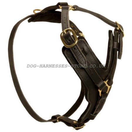 Leonberger Dog Harness of Leather for Secure Control