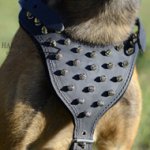 Spiked Dog Harness for Large Dogs Like Shepherds UK