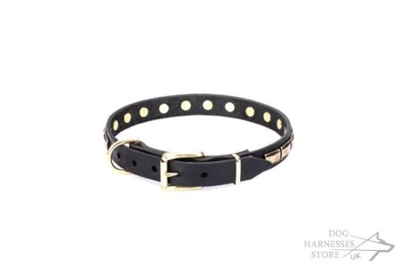Leather Dog Collar Brass Fittings "Wealth Effulgence" by Artisan