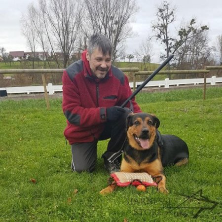 Pro Dog Training Stick for IGP, Agitation and Attack