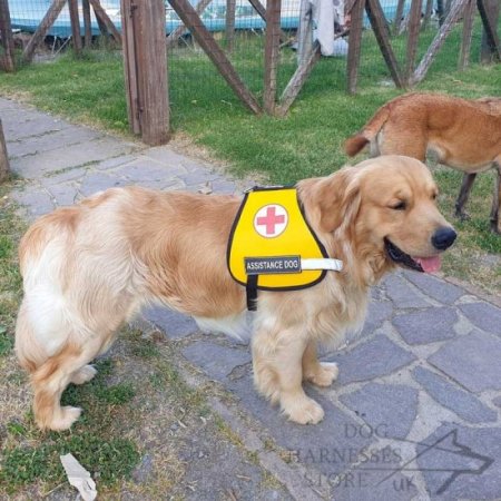 Best Service Dog Vest of Nylon with Identification Patches