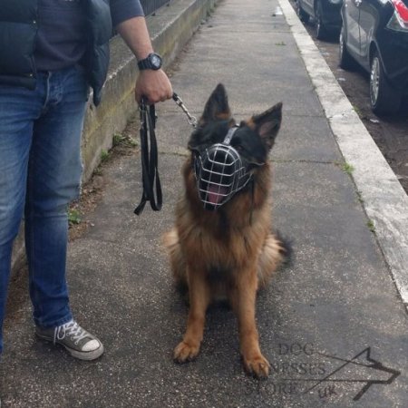 NEW Fully Padded Hard Working Dog Wire Muzzle