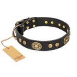 Black Leather Dog Collar "Golden Radiance" by FDT Artisan