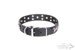 Genuine Leather Studded Dog Collar "Code of Chivalry" Artisan_1