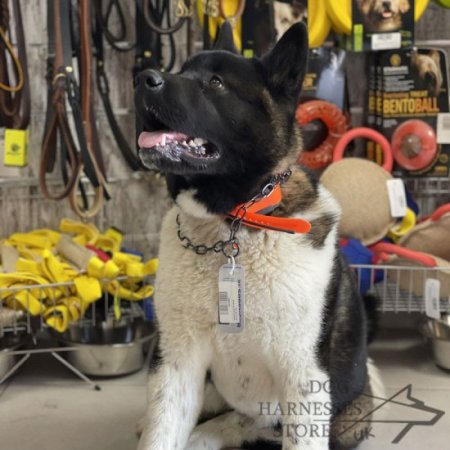 Black Stainless Steel Choke Chain Fur Saver Dog Control Collar