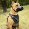 Dog Walking Harness of Strong Leather for Pitbull, Bestseller