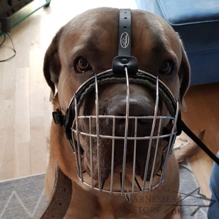 Wire Dog Muzzle UK Universal for Every Breed Walking, Training