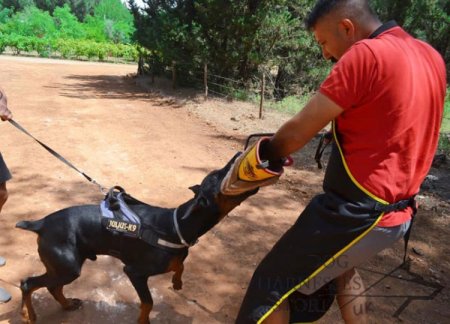 Jute Bite Sleeve Arm Protection for Young and Grown-Up Dogs