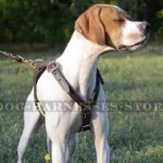 Bestseller! Pointer Harness of Double-Ply Leather for Tracking