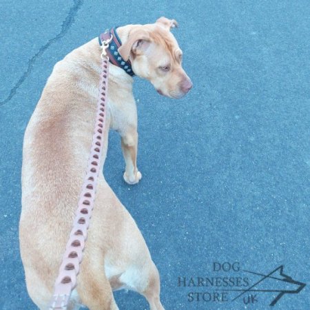 Braided Dog Lead, Designer Dog Leash of Leather for Dog Walking