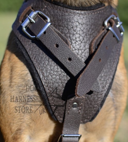 Brown Leather Harness for Dogs, Training and Walking Bestseller! - Click Image to Close