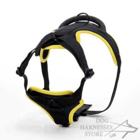 Black Nylon Dog Harness with Soft Padding for Maximum Comfort