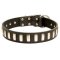 Stylish Dog Collar Leather with Row of Elegant Brass Plates