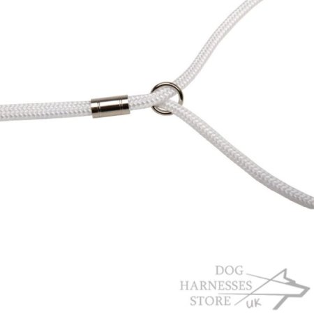 Dog Show Lead and Collar of Round Nylon with Swivel