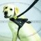 Leather Guide Dog Harness with Long and Short Handles