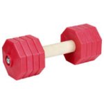 Dog Training Dumbbell, Advanced, 2 Kg, Red Plastic Weight Plates