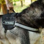 Reflective Dog Harness for Alaskan Malamute, Nylon with Patches