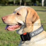 Quick Release Collar for Dogs with ID Patches on Velcro