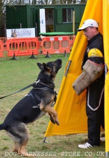 German Shepherd IGP Training Sleeve with Jute Cover