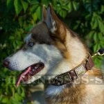 Leather Dog Collar for Husky with Vintage Plates and Pyramids