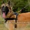 Belgian Tervuren Dog Harness Leather for Pulling and Tracking