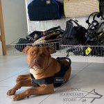 Dog Harness Moisture-Resistant, Lightweight K9 of Strong Nylon_6