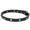 Modernly Designed Studded Thin Leather Dog Collar with Pyramids