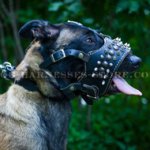 Malinois Muzzle Open Mouth Nappa Lined and Decorated