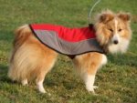 Dog Jacket for Sheltie, Waterproof Coat of Nylon for Warming
