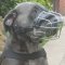 Cane Corso Muzzle Wire Perfectly Ventilated for Everyday Use