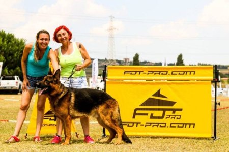 Dog Hurdle Jump with Rotating Crossbar for IGP Training