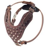 Studded Leather Dog Harness for Medium and Large Breeds