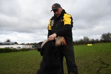 Secure Dog Training Protective Suit from Dirt and Scratches