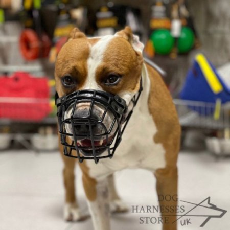 Basket Dog Muzzle Covered by Black Rubber, UK